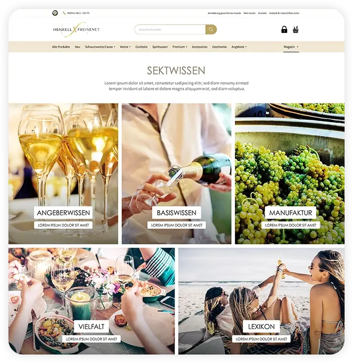 Vorschau des Sektwissen-Bereichs im Freixenet Onlineshop